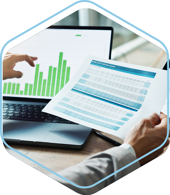 telecom audit